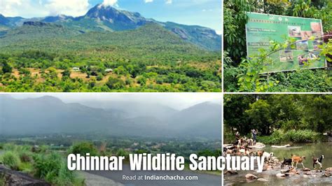 Chinnar Wildlife Sanctuary, Munnar, Kerala (Visit In 2024)