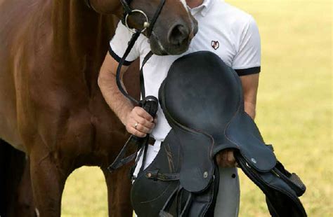 Saddle Fitting | ReBalance Expert