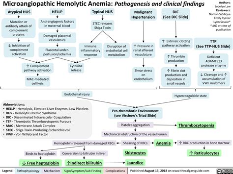 Microangiopathic Hemolytic Anemia: Pathogenesis and clinical findings | Calgary Guide