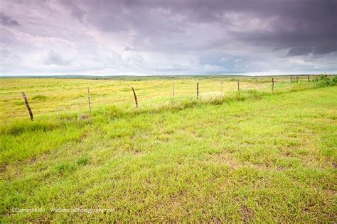 The Rolling High Plain of Texas