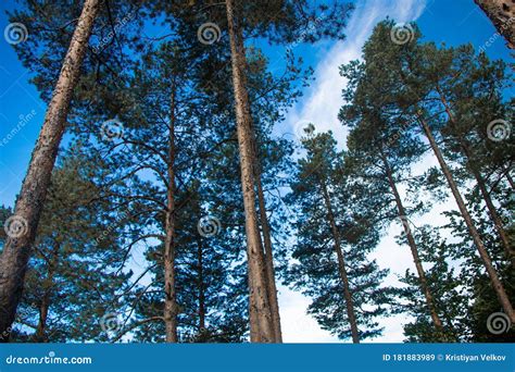 Rhodope Mountains from Bulgaria-Europe Stock Image - Image of cascade ...