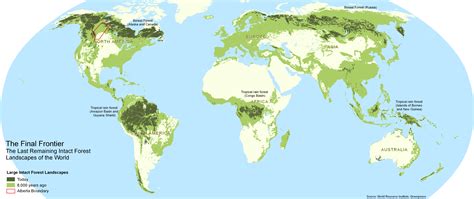 Old growth forests are increasingly rare. 80% of the world's original ...