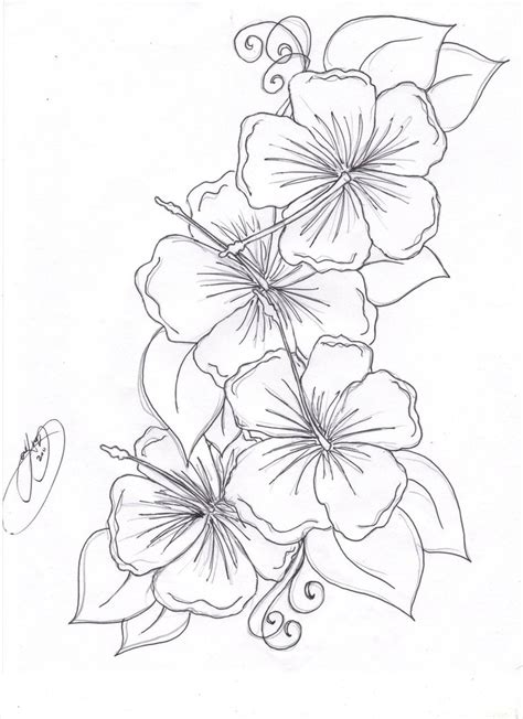 Gambar Hawaiian Tribal Flower Tattoo Drawing Coloring Pages Clip Art ...