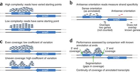 Key criteria for evaluation of strand-specific RNA-seq libraries. (a–d)... | Download Scientific ...