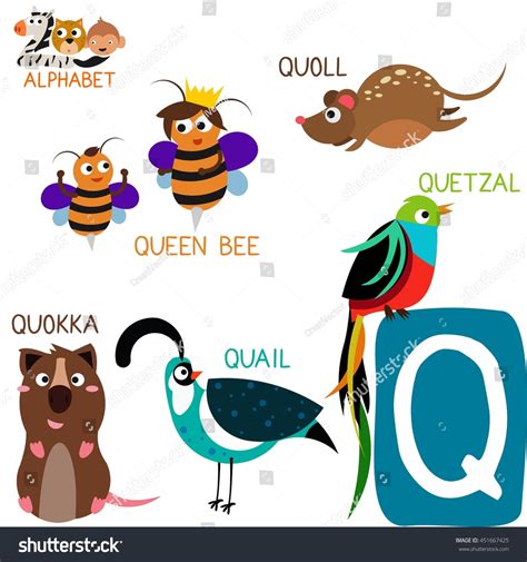 Animals Beginning With The Letter Q / Animals Starting With P Q R Learn ...