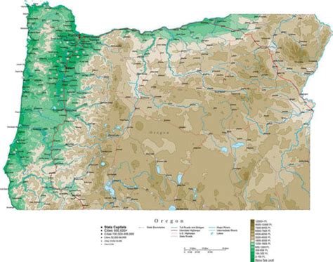 Oregon Contour Map in Adobe Illustrator Digital Vector Format