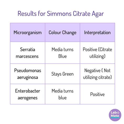 Simmons Citrate Agar: A Comprehensive Guide to Its Composition, Uses, and Interpretation - Labmate