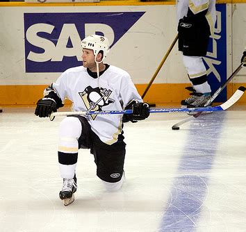 Former Penguins defenseman flourishing under Randy Carlyle - Inside ...