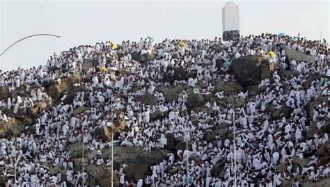 Foto-foto khusyuknya wukuf di Padang Arafah | Lukisan bunga, Indonesia ...