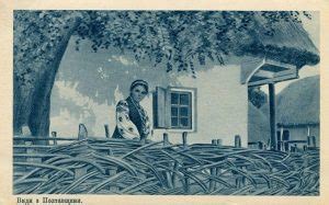 Rare postcards depict Ukrainian village life at turn of 20th century - Euromaidan Press