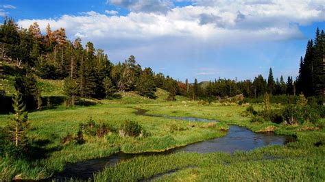 Scenic Landscape Natire Scene View Nature Beautiful Lavender Fields Hd ...