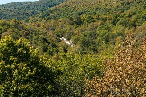 Fall Foliage 2020 Forecast and Guide - Blue Ridge Mountain Life