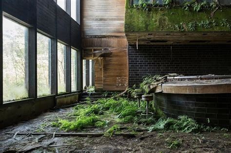 World without humans: Stunning pictures show the 'post-apocalyptic' places where nature has ...