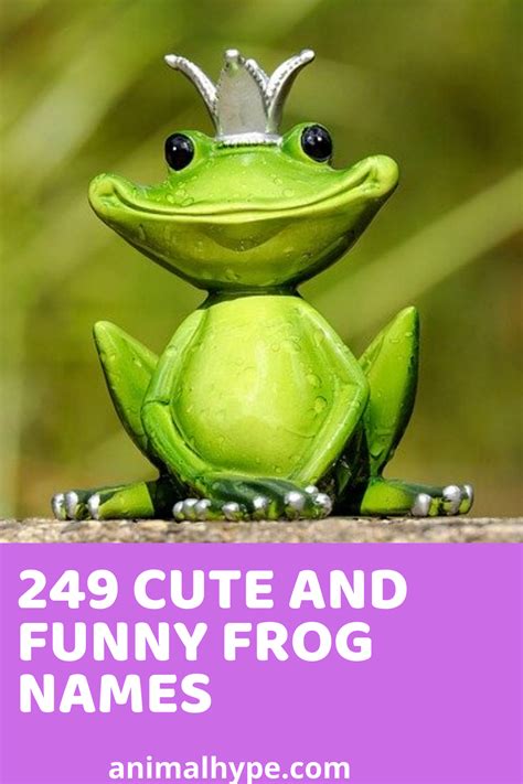 249 Cute and Funny Pet Frog Names | Pet frogs, Frog, Funny frogs