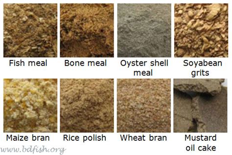 Good Practice in Aqua-Feed Preparation: Feed Ingredients | BdFISH Feature