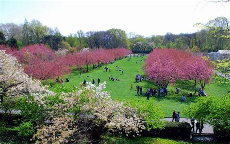 Brooklyn Botanic Garden, New York, USA - Traveldigg.com