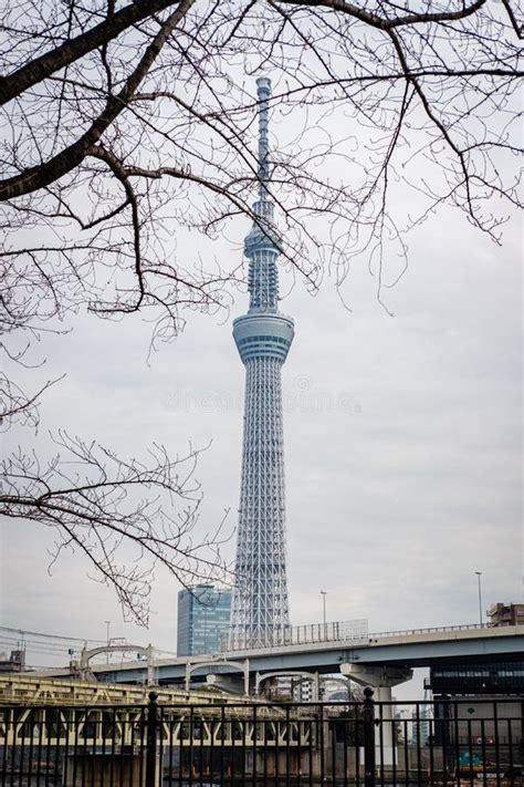 Asakusa, Tokyo / Japan-January 15 2019: Tokyo Skytree View from Sumida ...