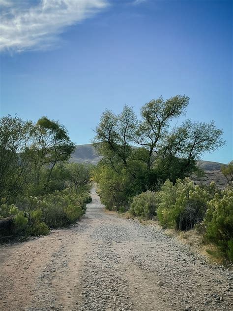 Mission Trails Regional Park - Lauren V Photography