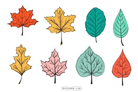 30+ Simple Leaf Drawing Ideas - How To Draw Leaf? - HARUNMUDAK