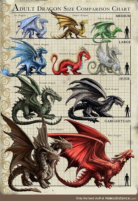 Dragon Size Comparison | Dragons, RPG and Mythical creatures