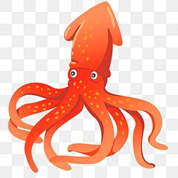 Cartoon Squid Clipart Images | Free Download | PNG Transparent Background - Pngtree