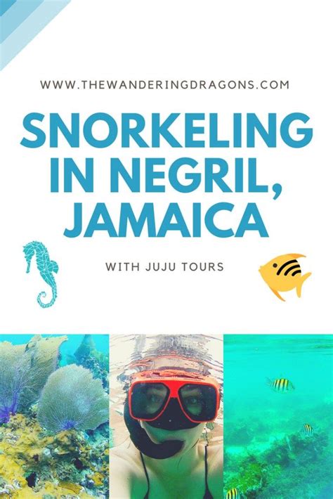 Snorkeling in Negril with Juju Tours | Negril, Negril jamaica ...