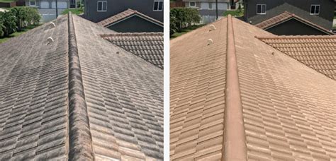 LOW PRESSURE ROOF CLEANING – Absolute Pressure Cleaning Services