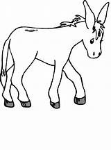 Dibujos De Burros  Imprimir Para Colorear sketch template