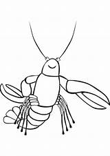 Funny Lobster coloring drawing sketch template