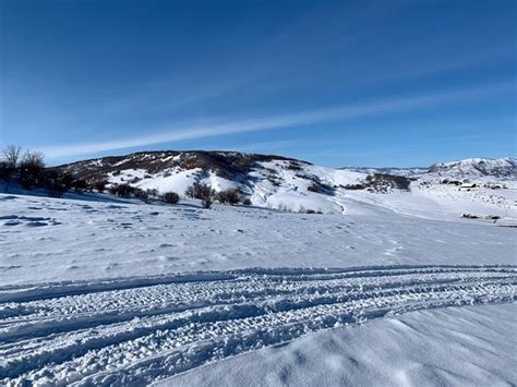 Saddleback Ranch (Steamboat Springs) - 2020 All You Need to Know BEFORE You Go (with Photos ...