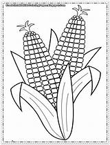 Crops Coloring Pages At GetDrawings  Free Download sketch template