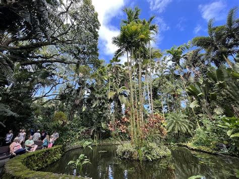 Hawaii Tropical Botanical Gardens Big Island | Fasci Garden