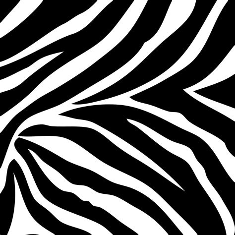 🔥 Download And White Zebra Print Wall Border Wallpaper by @denisew96 | Wallpapers Animal Print ...