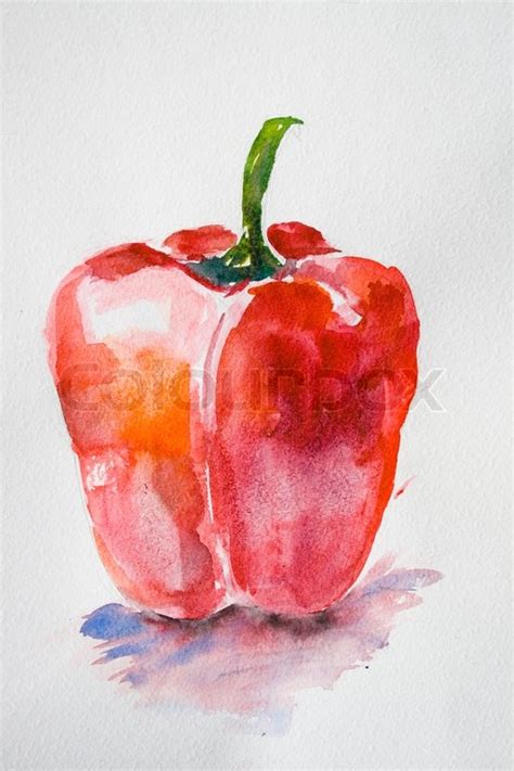 Watercolor illustration of red pepper | Stock Photo | Colourbox