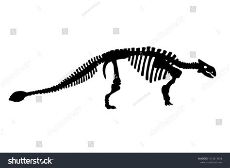 Stock vektor „Vector Dinosaur Ankylosaurus Skeleton Silhouette ...