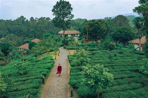 6 BEST Ayurveda Resorts in Kerala for a Rejuvenating Retreat