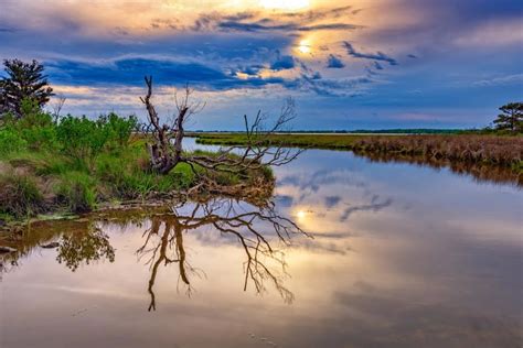 Visit Assateague Island National Seashore Fee Free!