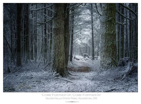 Narnia Winter - Landscape & Rural Photos - Latitude(s)