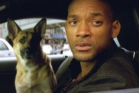 Dogs in Horror Films: The Good "Bad Dogs" in Scary Movies