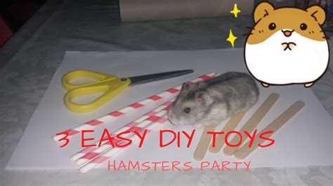 Three Easy DIY Hamsters Toys You Can Do At Home🐹 Hamsters Party - YouTube