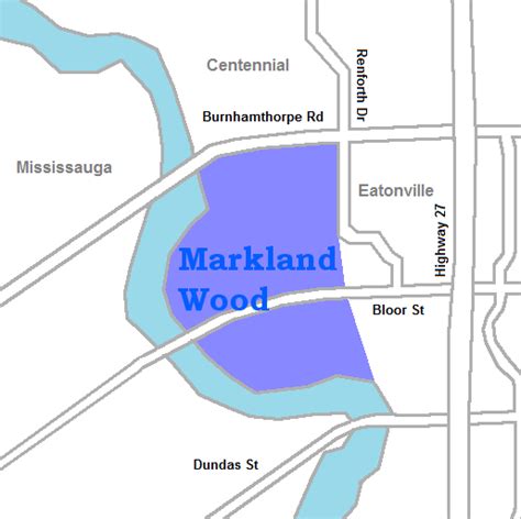 Markland Wood