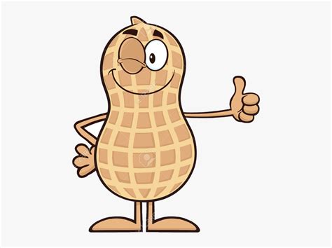 Peanut Free Cartoon Clipart Images At Vector Clip Transparent - Cartoon Peanut Clipart, HD Png ...