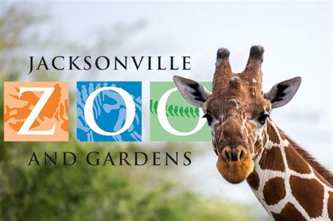 Jacksonville Zoo and Gardens - Go On a Walking Safari!