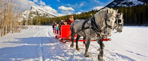 5 Amazing Winter Adventures in Banff | Banff Trail Riders