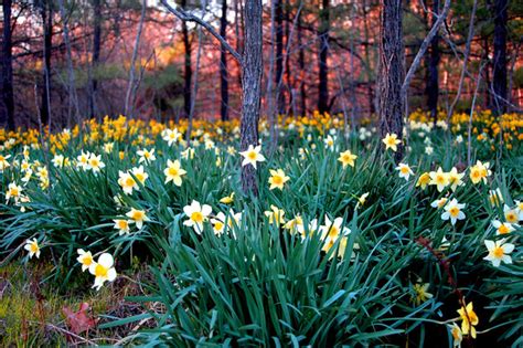 Travel Texas | Visit Mount Pleasant | Texas