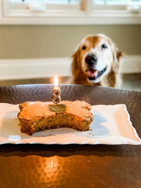 Dog Birthday Cake - Brown Eyed Baker