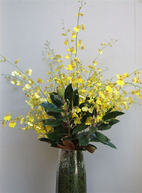 dancing lady orchids | Flower arrangements, Orchids, Plants