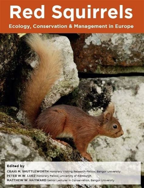 ESI Launches New Red Squirrel Book – Northern Red Squirrels