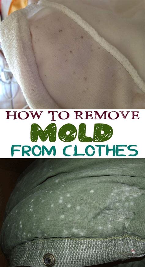 If you have forgotten your clothes in a cupboard, you will probably notice some mold stains on ...