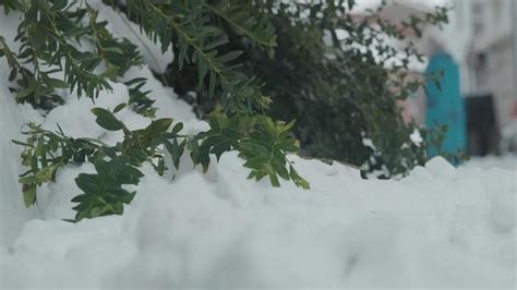 Green Screen Snow Stock Video Footage for Free Download